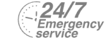 24/7 Emergency Service Pest Control in North Watford, WD24. Call Now! 020 8166 9746