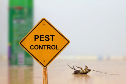 Pest Contol in North Watford, WD24. Call Now 020 8166 9746